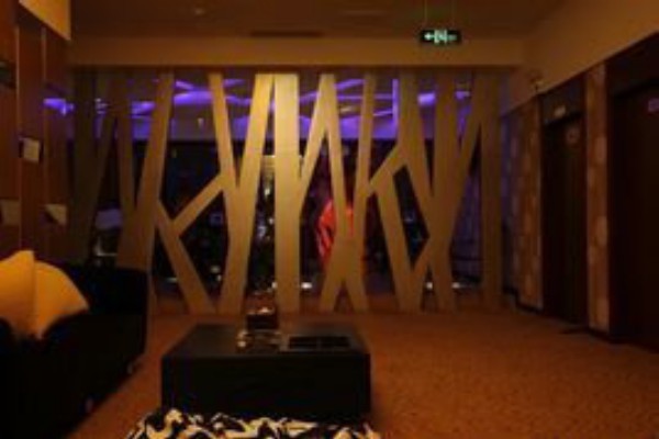 成都蒸桑拿339：享受健康养生时光(成都蒸桑拿的地方)