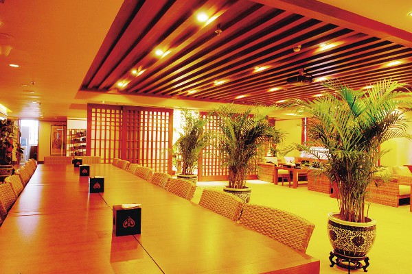 成都莎头茶馆养生休闲体验(成都莎头茶馆养生休闲体验中心地址)